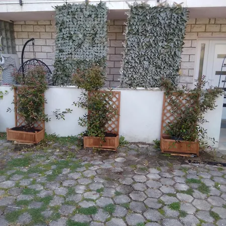 Erceg * Porec